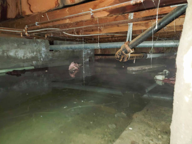 , MO Water damage restoration Company
