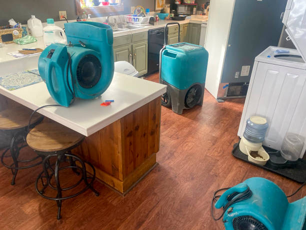 Best Local water damage restoration  in St Robert, MO