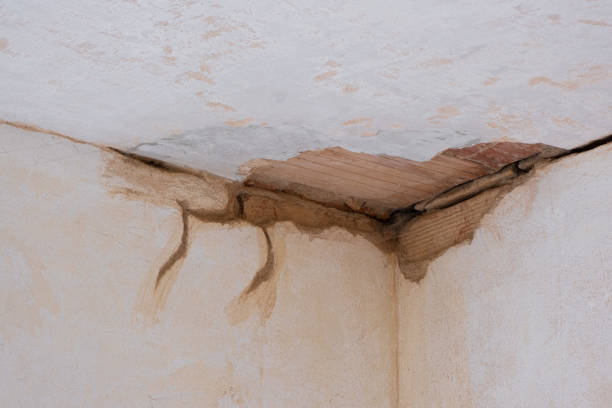 Best Water damage contractors near me  in St Robert, MO