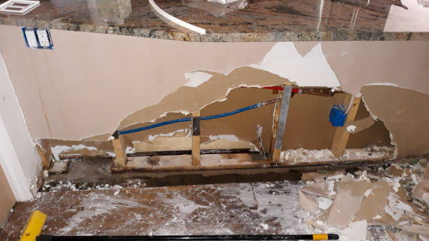 Best Flooded house restoration  in St Robert, MO