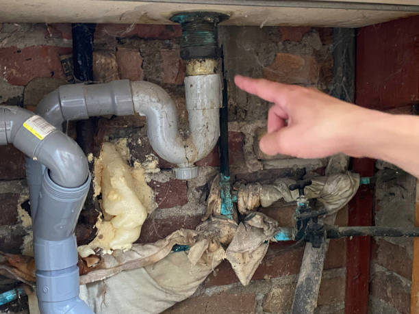Best Basement water damage restoration  in St Robert, MO