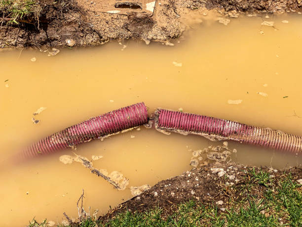 Best Water damage restoration process  in St Robert, MO